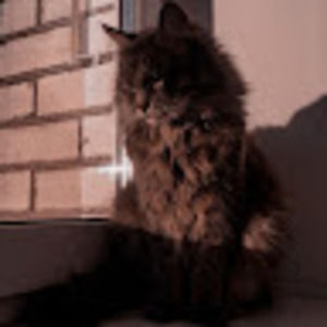 Meet your Posher, Ama